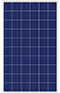 solista icon